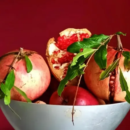 Apartamento Casa Iride, Con Grazioso Giardino *