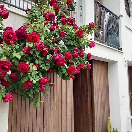 Casa Iride, Con Grazioso Giardino *