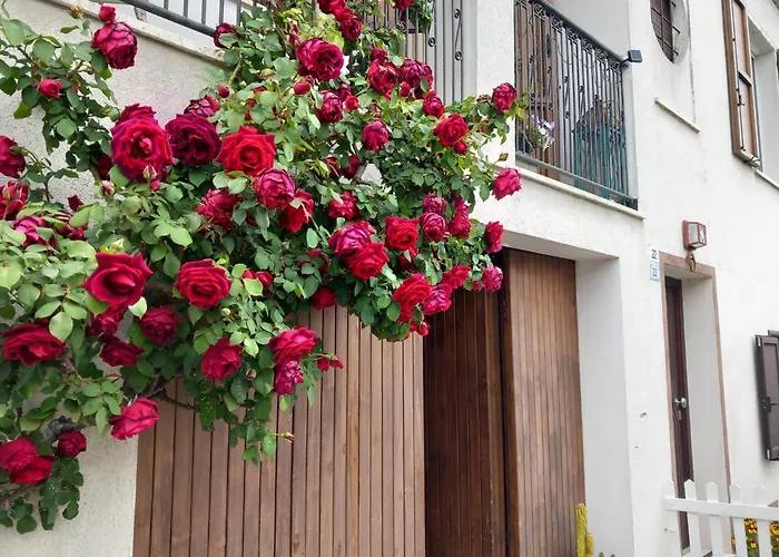 Casa Iride, Con Grazioso Giardino *